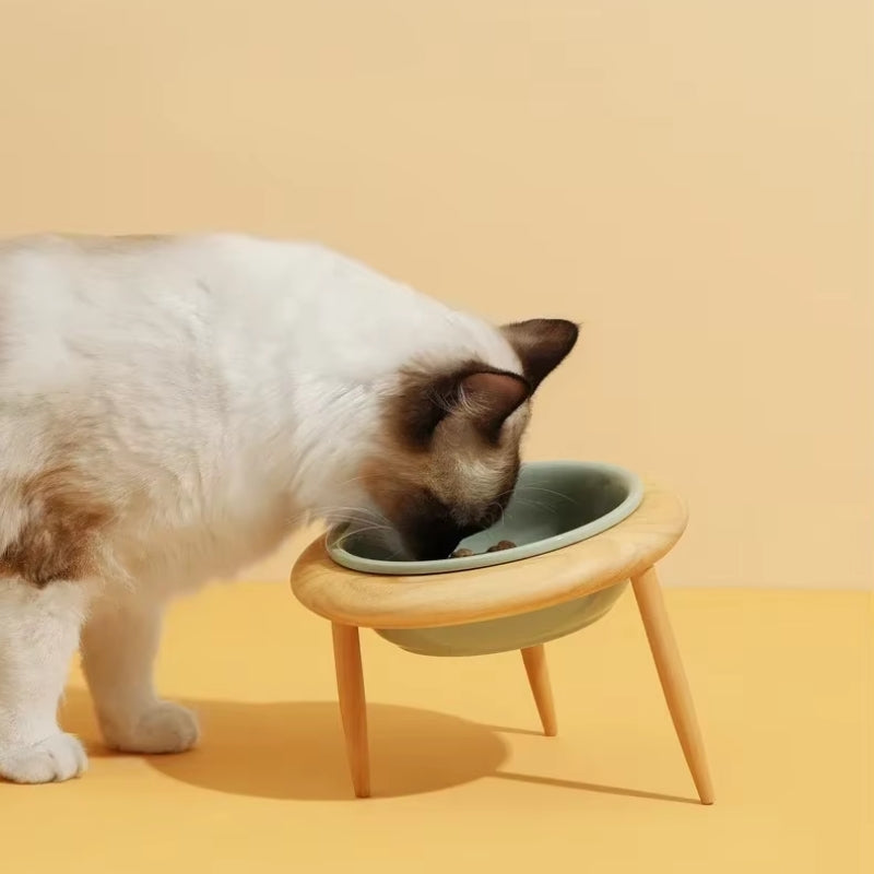 Pet Accessories