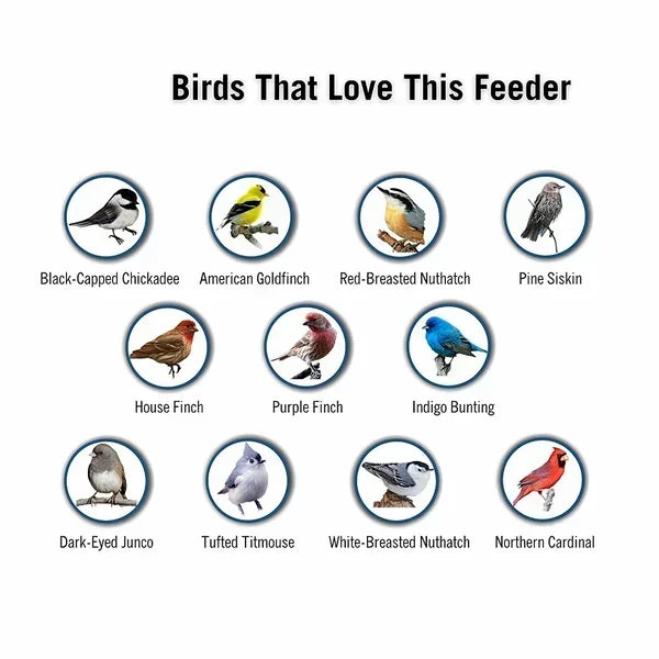 BowLift | BirdHaven Squirrel-Proof Bird Feeder