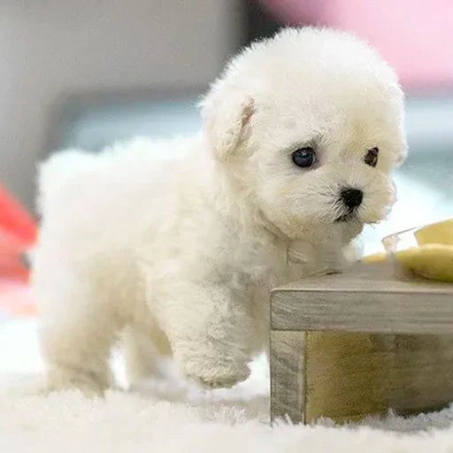 BowLift | Interactive Plush Dog with Realistic Movements – For Children & Seniors