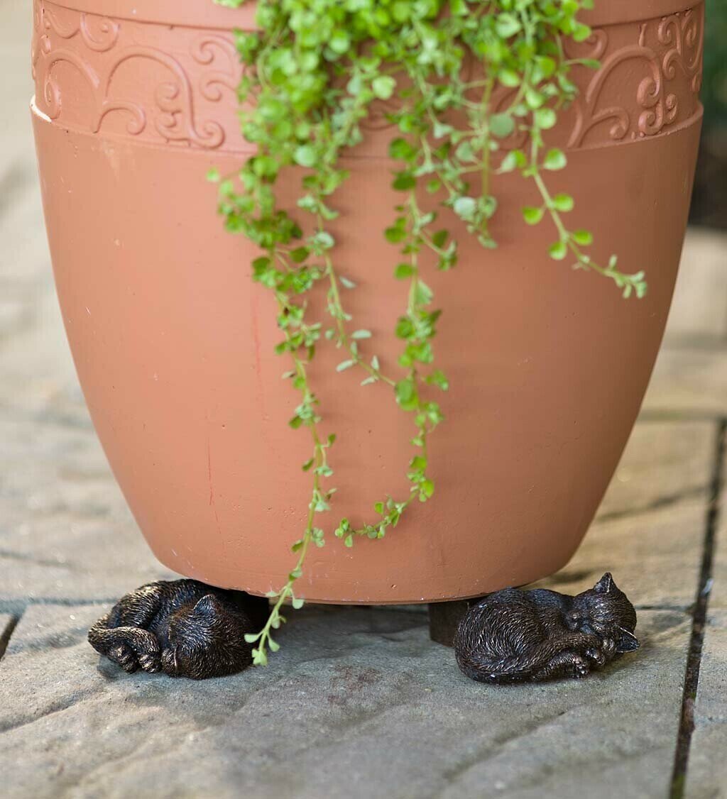 BowLift | PotStand Healthy Root Support