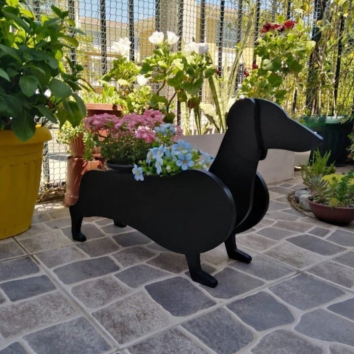 BowLift | PawPlanter Green Pet Oasis