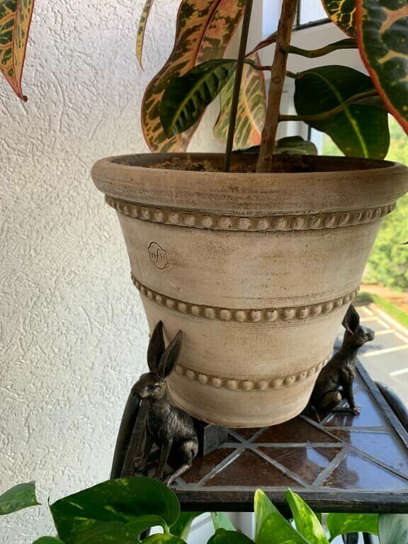 BowLift | PotStand Healthy Root Support