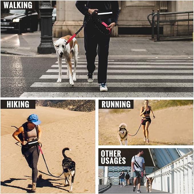 FlowLeash — Experience gentle control and relaxed walks without jerks! | Bowlift