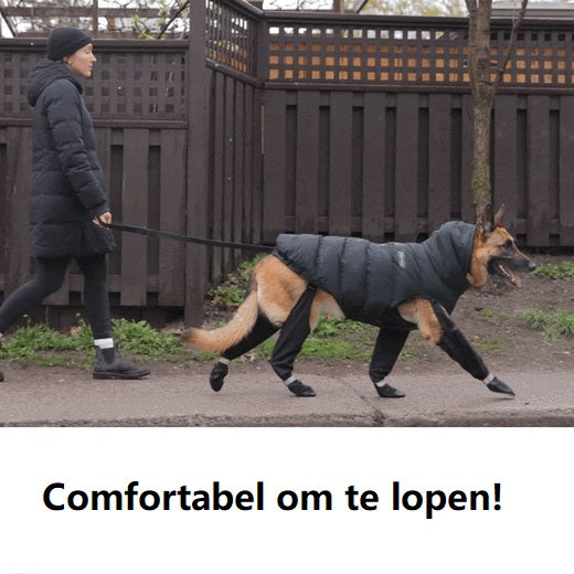 BowLift | Sustainable Dog Boots for All Weather Elements – Waterproof Dog Shoes for Snow, Hiking, and Outdoor Activities