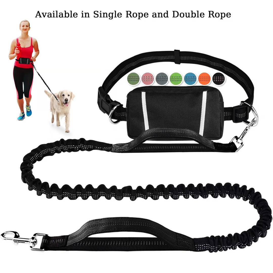 FlowLeash — Experience gentle control and relaxed walks without jerks! | Bowlift