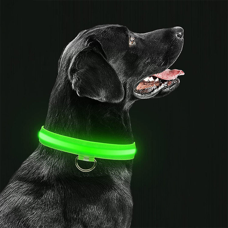 BowLift | Luminous Animal Collar with LED Light – Rechargeable, Waterproof, Adjustable Fit for Enhanced Safety at Night