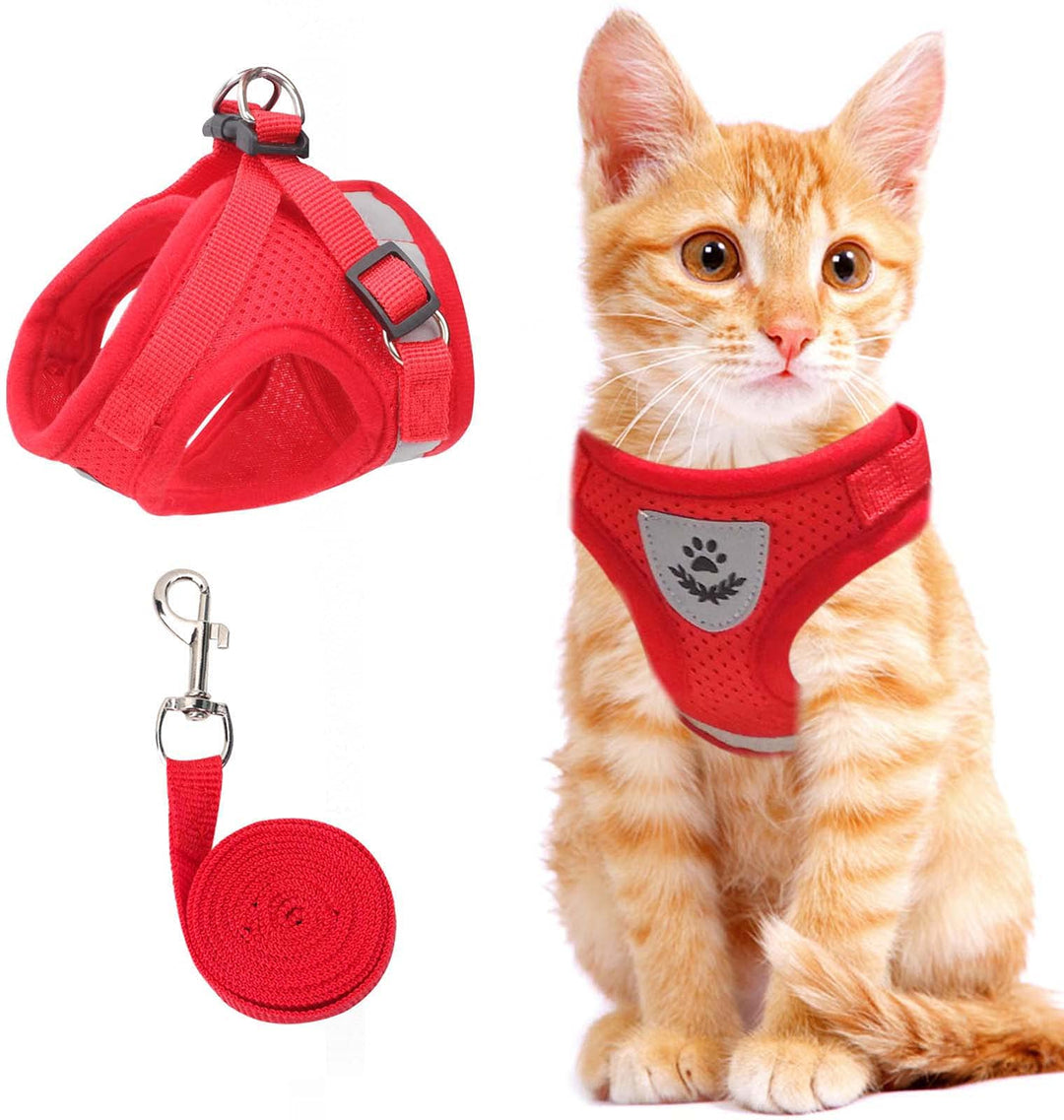 BowLift | Reflective Cat Harness and Leash Set with Adjustable Straps for Safe Night Adventures – Comfortable Fit for Cats and Kittens