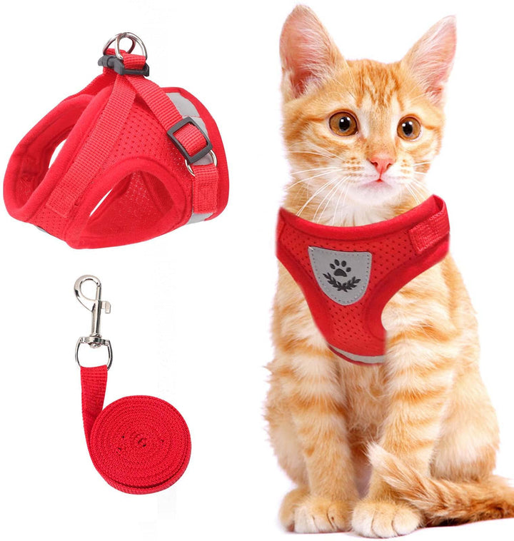BowLift | Reflective Cat Harness and Leash Set with Adjustable Straps for Safe Night Adventures – Comfortable Fit for Cats and Kittens