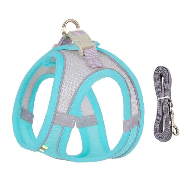 Bowlift Venture Dish & Leash