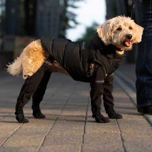 BowLift | Sustainable Dog Boots for All Weather Elements – Waterproof Dog Shoes for Snow, Hiking, and Outdoor Activities