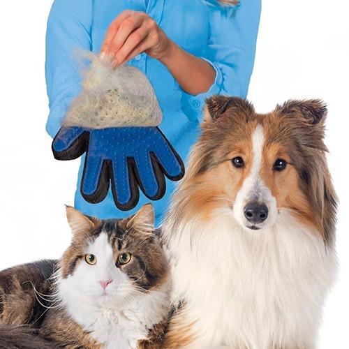 BowLift | Magic Deshedding Glove