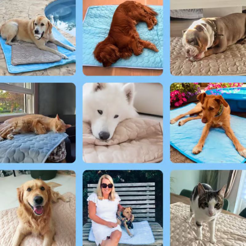 BowLift | Cooling Mat for Dogs (4x More Effective)