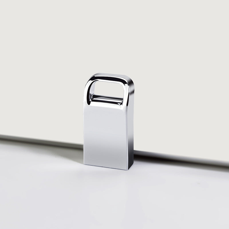 Premium StainlesSteel Padlock Bowlift