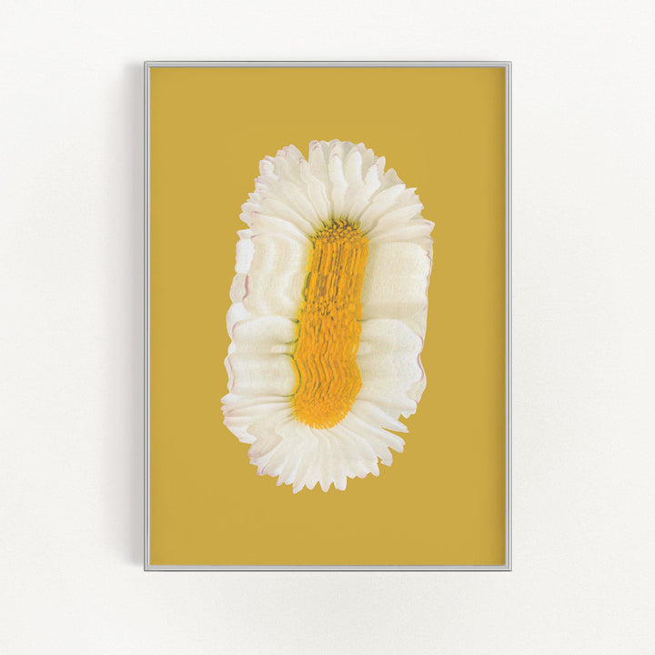 Lazy Daisy | Bowlift