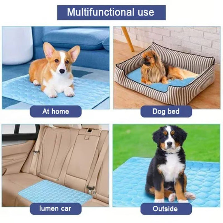 BowLift | Cooling Mat for Dogs (4x More Effective)