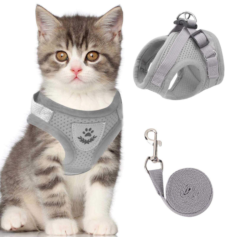 BowLift | Reflective Cat Harness and Leash Set with Adjustable Straps for Safe Night Adventures – Comfortable Fit for Cats and Kittens