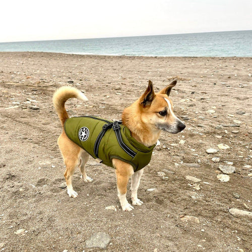 BowLift | Waterproof Dog Jacket with Built-in Harness – Warm, Weather-resistant Dog Jacket for All Breeds