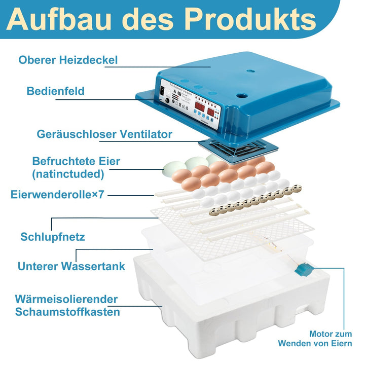 Brutautomat Fully Automatic Incubator for Chickens 36 Eggs | Bowlift