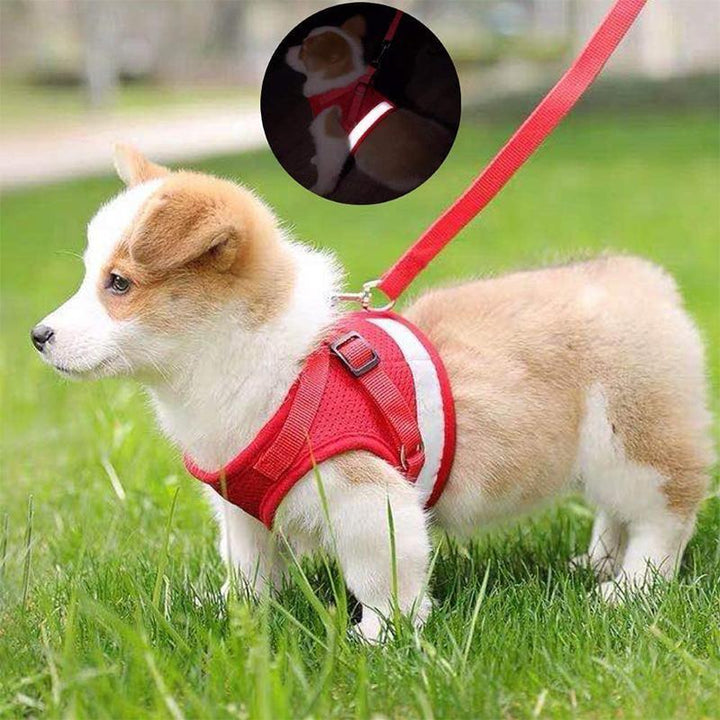 BowLift | Reflective Safety Dog Harness and Leash Set Offer