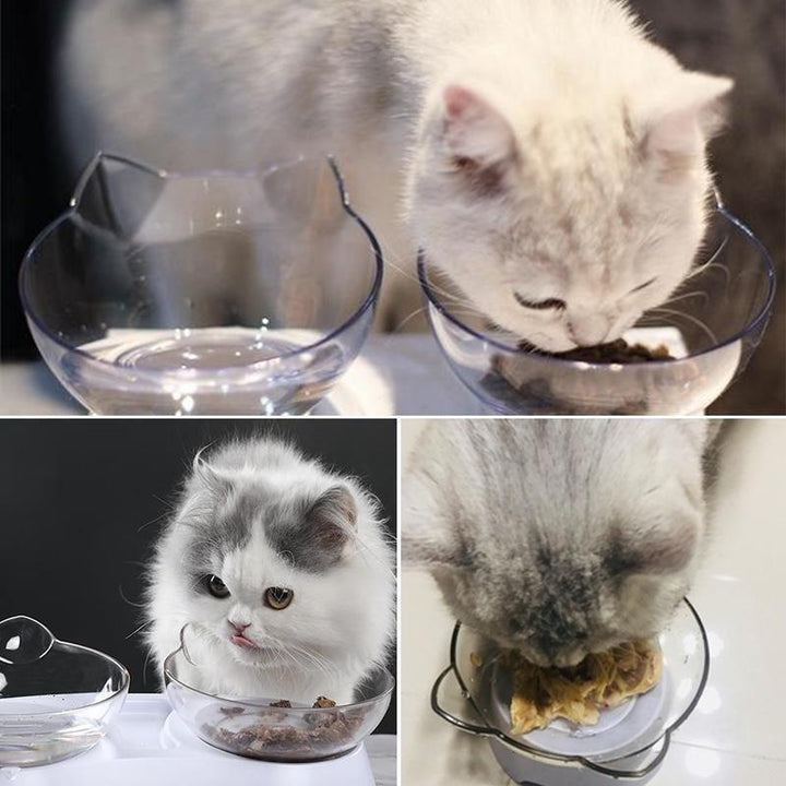 BowLift | Cat Feeding Bowl (Single/Double)