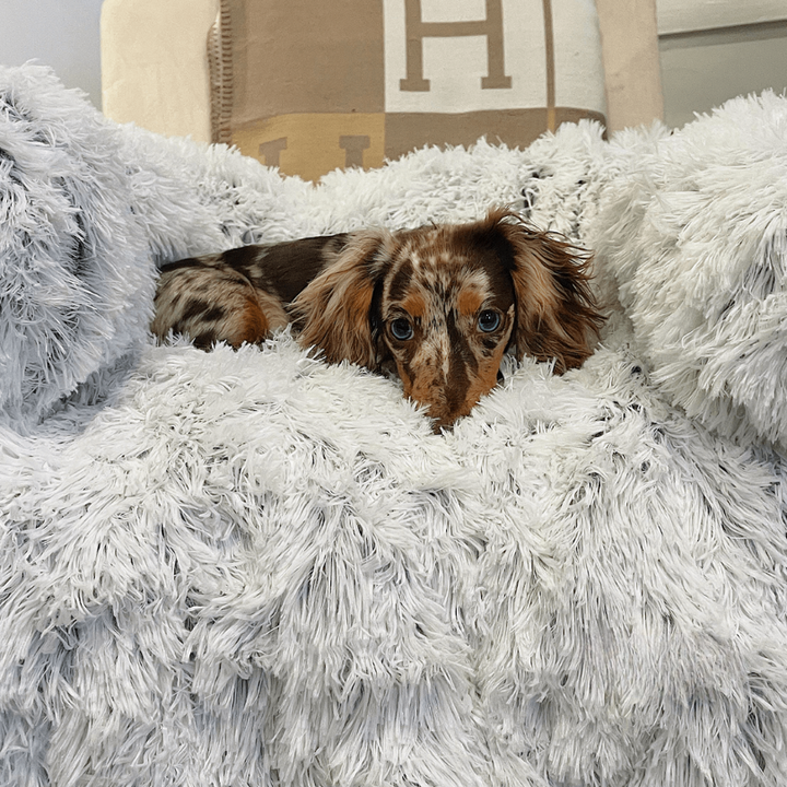 BowLift | Water Repellent Dog Bed Protection with Soft Vegan Fur – Non-slip, Comfortable, Suitable for All Dog Sizes
