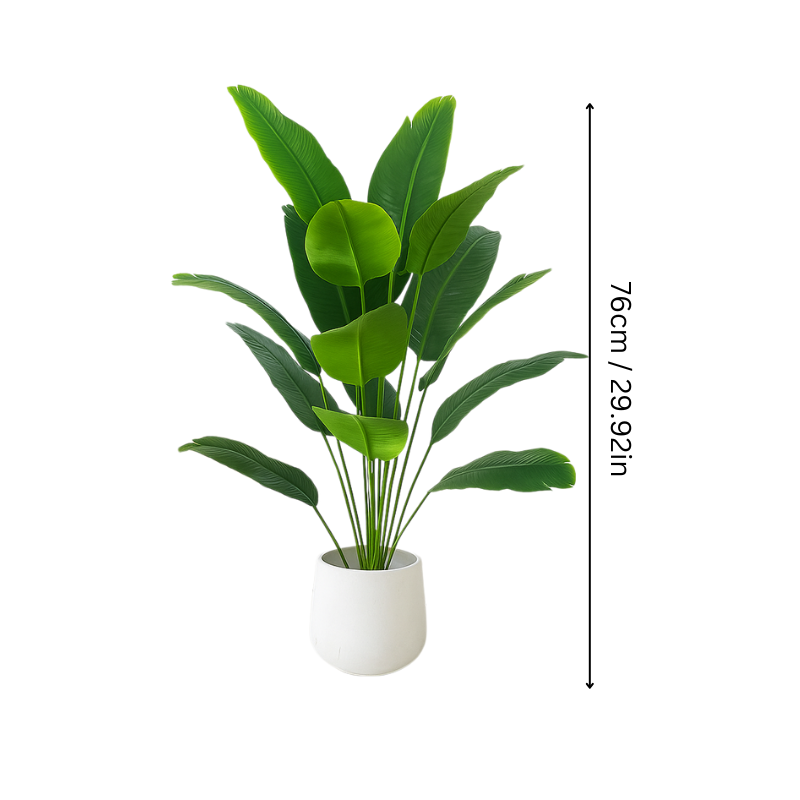 BowLift | EverGreen
