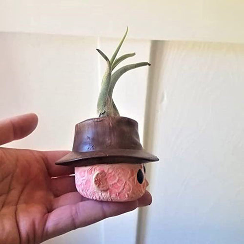 Horror Movie Planter Mini Planter Gift | Bowlift