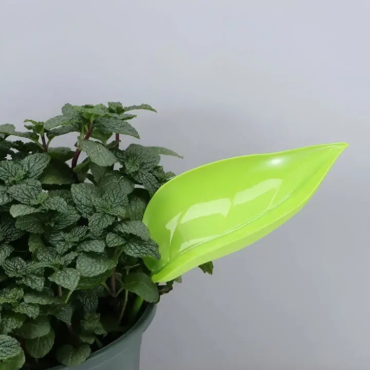 BowLift | SprayLeaf Sustainable Plant Care