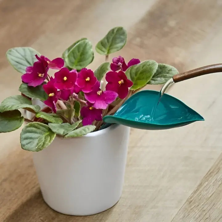 BowLift | SprayLeaf Sustainable Plant Care