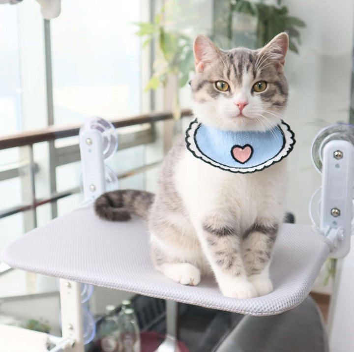 Cozy Cat Window Hammock | Bowlift