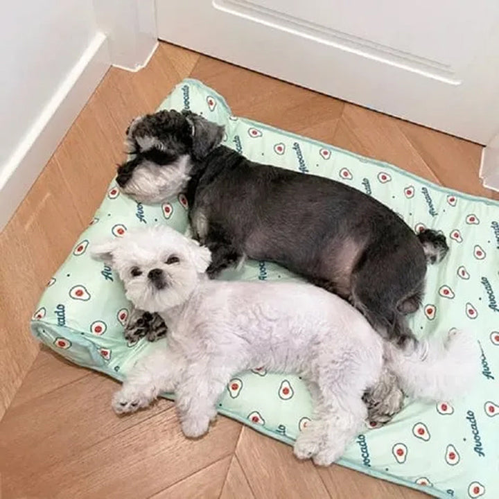 BowLift | Cooling bed for pets
