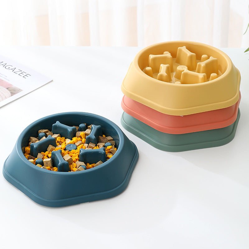 Slow Eating Feeding Station for Dogs Bowlift