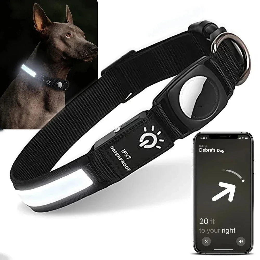 BowLift | Flashing Dog Collars – Waterproof LED Light Up Dog Collar with USB Rechargeable Glow, Dog Collars Illuminated for Night Safety, All Sizes