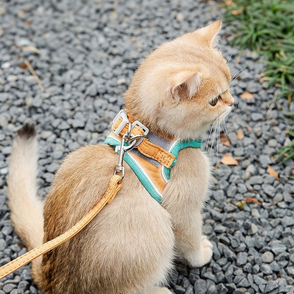 BowLift | Escape-Safe Cat Harness and Leash Set – Adjustable, Comfortable, Breathable Fabric for Safe Outdoor Adventures