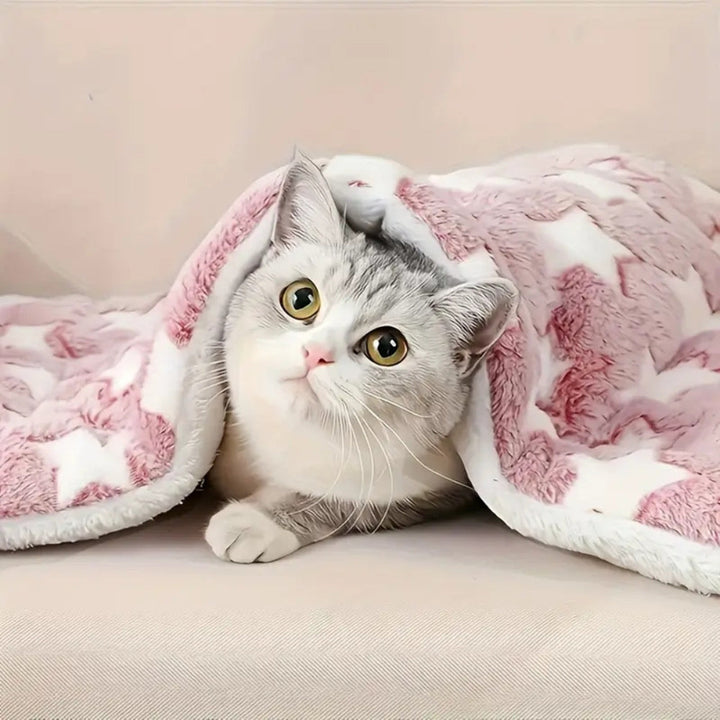BowLift | Snuggly Star Ultra-Warm Pet Bed