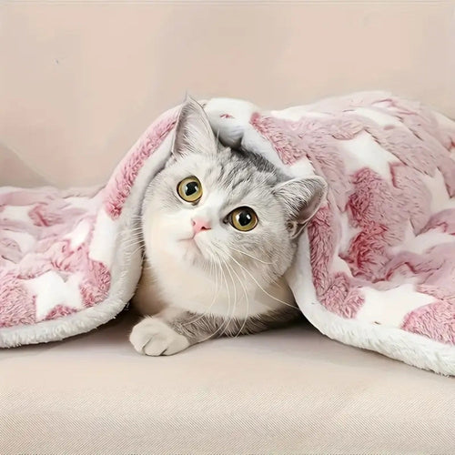 BowLift | Snuggly Star Ultra-Warm Pet Bed