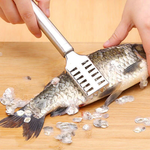 Fish Scale Remover Stainless Steel Bowlift