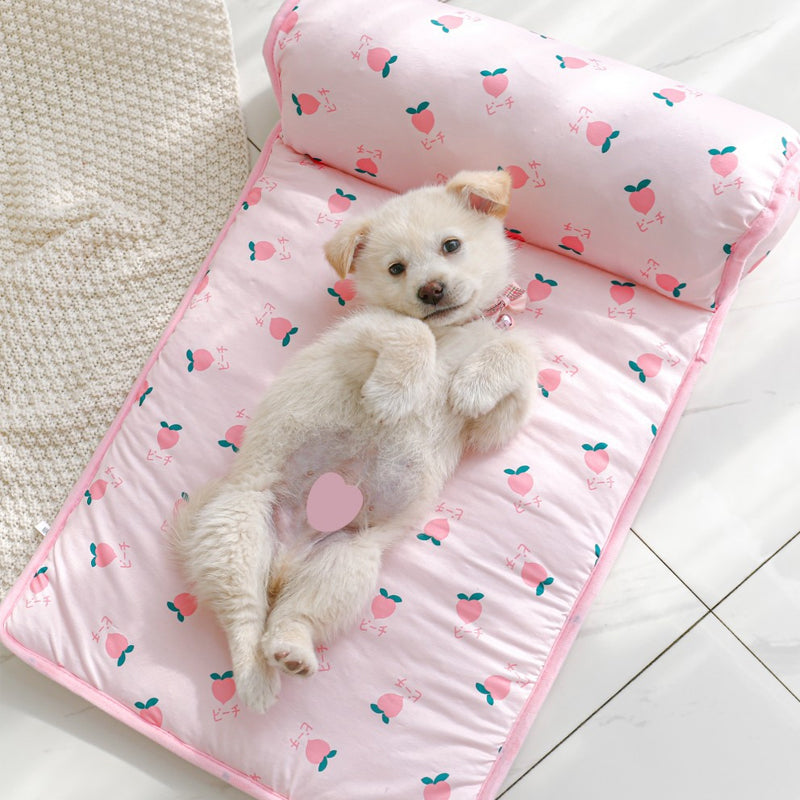 BowLift | Cooling bed for pets