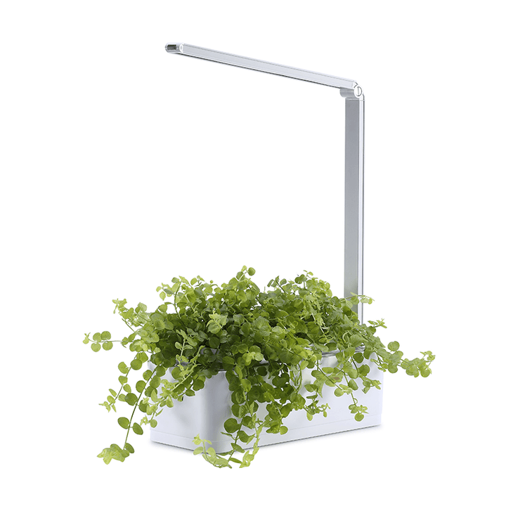 BowLift | Hydroponic Systems with Led Plant Grow Light, Intelligent Watering, Water Shortage Reminder and Timer Switch (with US Standard Plug, 110v~220v)