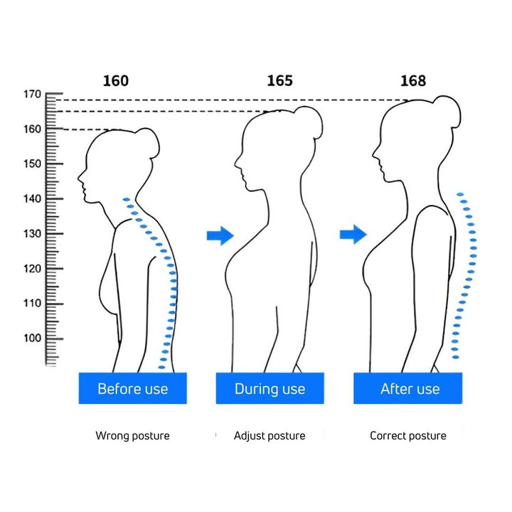 HealthPost 3-in-1 Back Posture Corrector | Adjustable Back Support for Office, Sports & Everyday | Upper & Lower Back | Bowlift