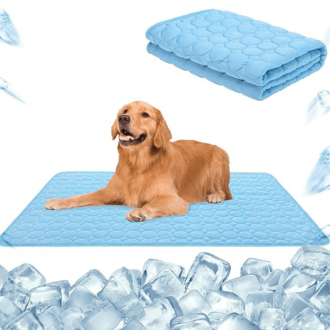 BowLift | FrostPfote Cooling Mat for Pets | Self-cooling & Non-toxic | Comfortable & Power-free