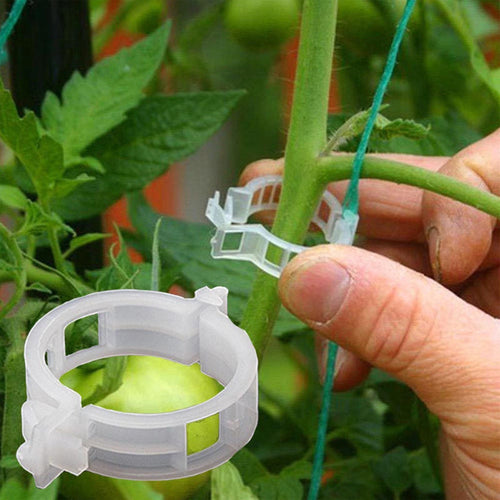 Plant support clips | Bowlift
