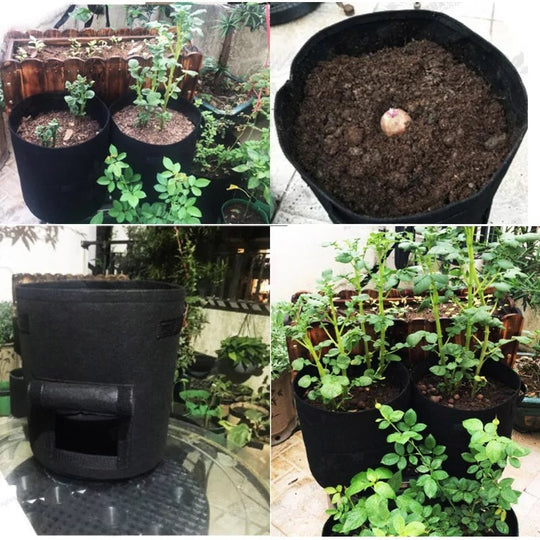GrowMaster Pro — More power for your plants, so your harvest will amaze everyone! | Bowlift