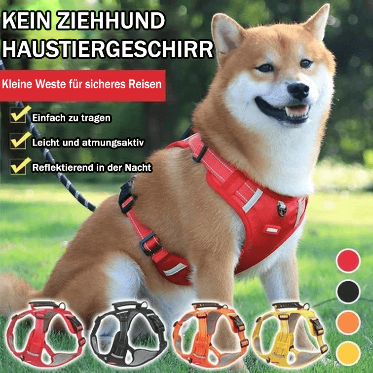 BowLift | No Pull Dog Harness for Pets