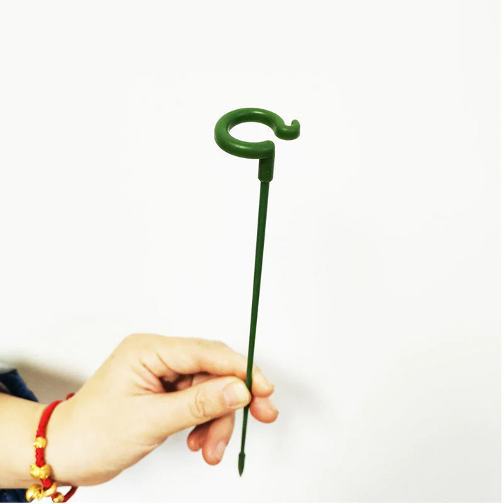 BowLift | BloomBuddy Thriving Plant Growth