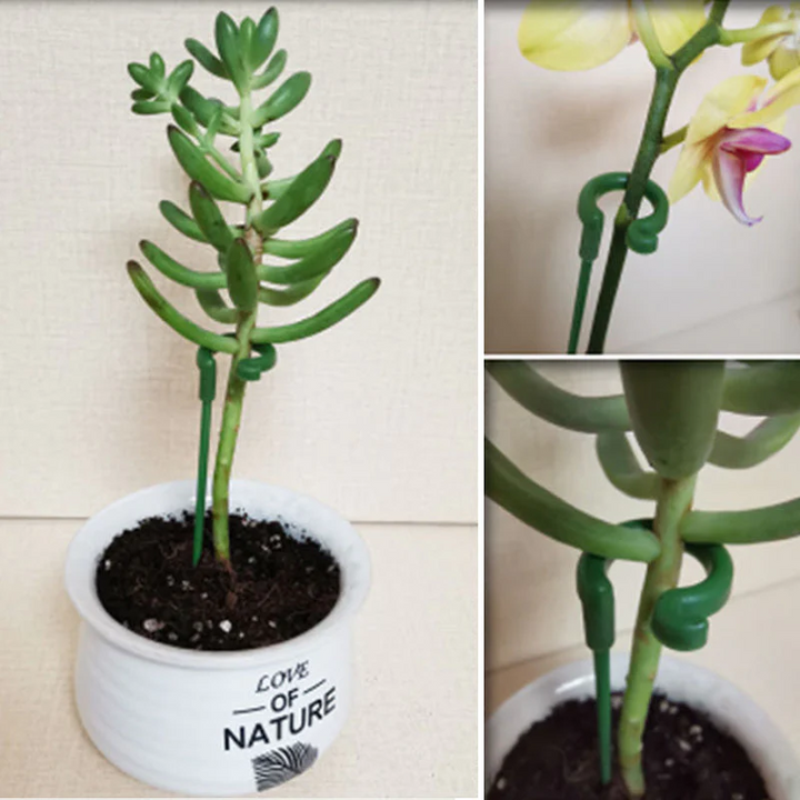 BowLift | BloomBuddy Thriving Plant Growth
