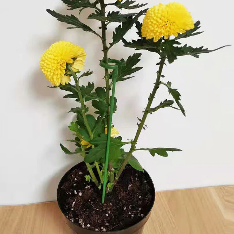BowLift | BloomBuddy Thriving Plant Growth