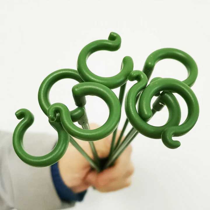 BowLift | BloomBuddy Thriving Plant Growth