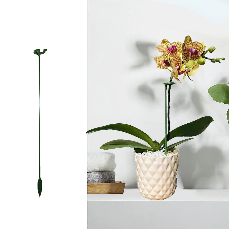 BowLift | BloomBuddy Thriving Plant Growth
