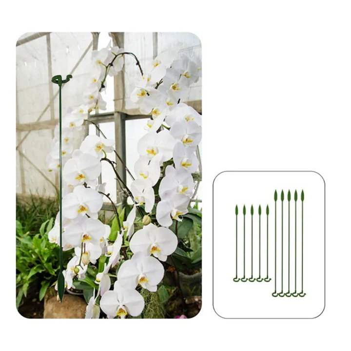BowLift | BloomBuddy Thriving Plant Growth